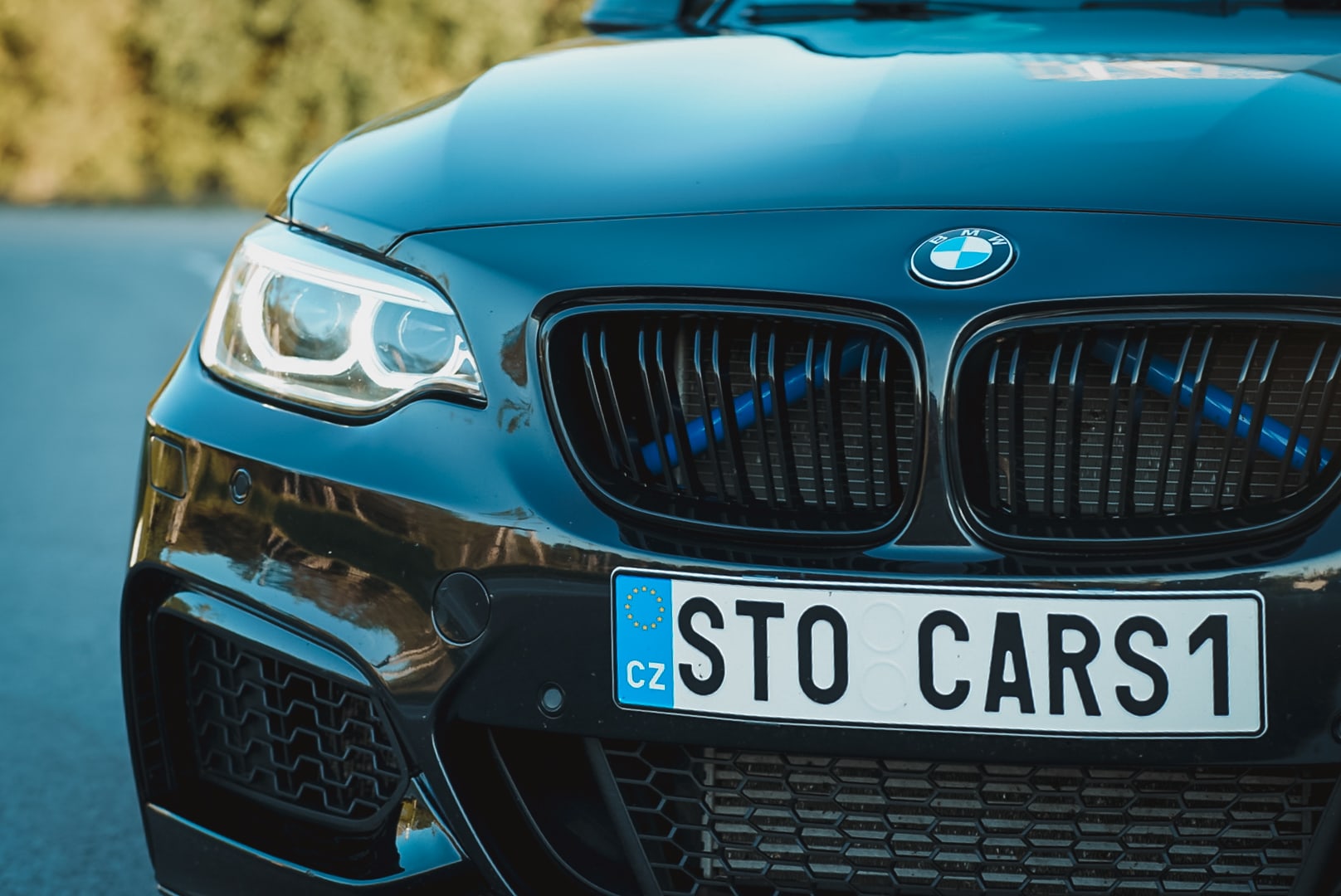 BMW M235i detail